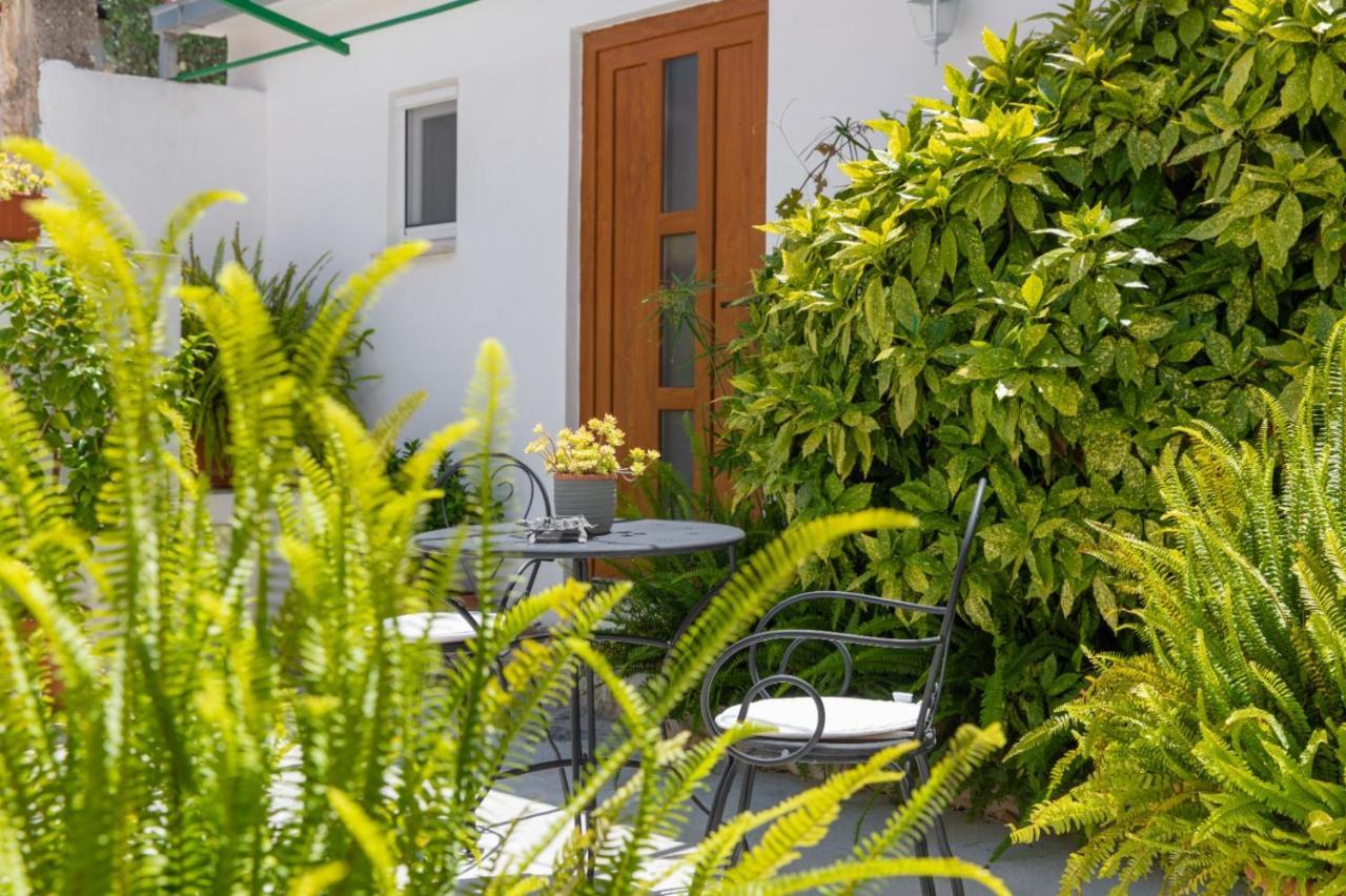 Apartments Jelena Supetar - Four Apartments - A Small House With A Private Yard - Two-Room Apartment With A Sea View - Studio Apartment - Two-Room Apartment With Garden View- Free Parking Eksteriør billede
