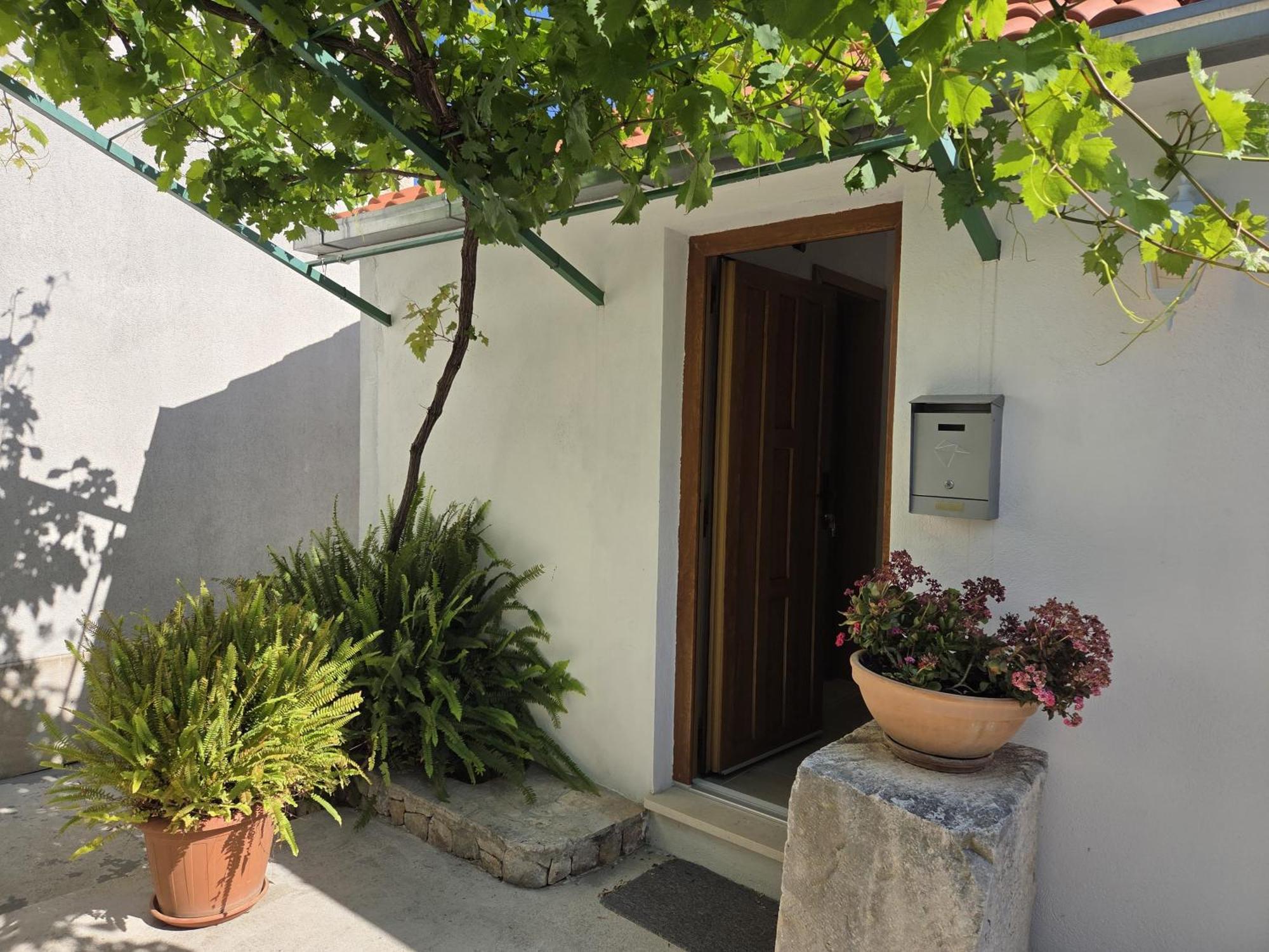 Apartments Jelena Supetar - Four Apartments - A Small House With A Private Yard - Two-Room Apartment With A Sea View - Studio Apartment - Two-Room Apartment With Garden View- Free Parking Eksteriør billede